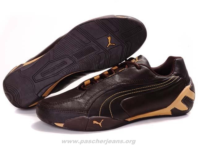 puma a lyon